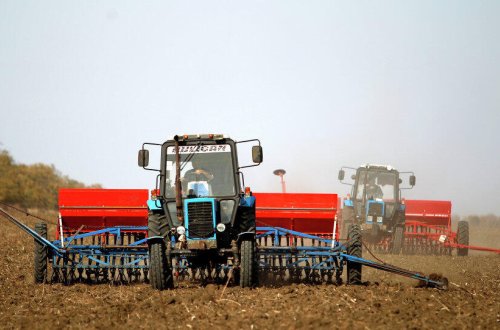 Bərdədə dəhşət: Kotanın altında qalıb öldü - FOTO