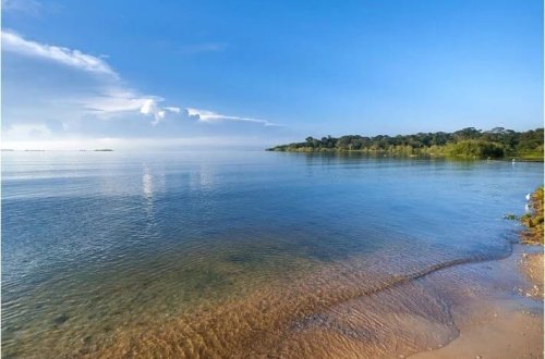 Viktoriya gölü yaşıllaşır