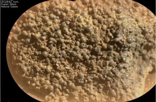 Marsda qəribə kəşf: Hörümçək yumurtaları tapıldı