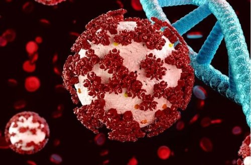 Avstraliyada Covid-in yeni variantı yayılır