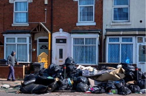 İngiltərə küçələrini siçovullar basdı: Onlar pişiklərdən də böyükdürlər