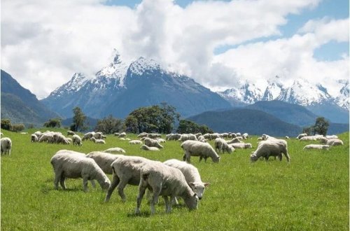 ABŞ yaşayış olmayan adalarda belə tariflər tətbiq edir
