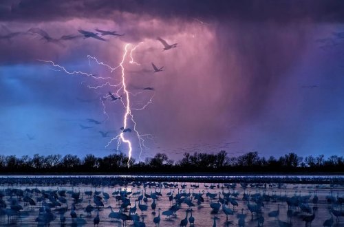 Hindistanda ildırım vurması nəticəsində ölənlərin sayı 22 nəfərə çatdı