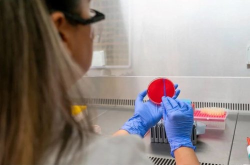 151 nəfərin ölümünə səbəb olan epidemiya narahatlıq yaradıb: Səlahiyyətlilər 3 əlamət barədə xəbərdarlıq edir 