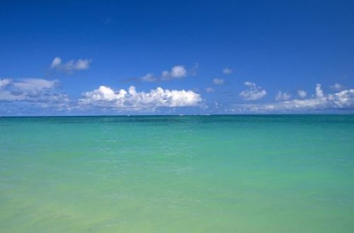 Alimlərin diqqətəlayiq araşdırması: Dünya okeanları bir vaxtlar yaşıl olub