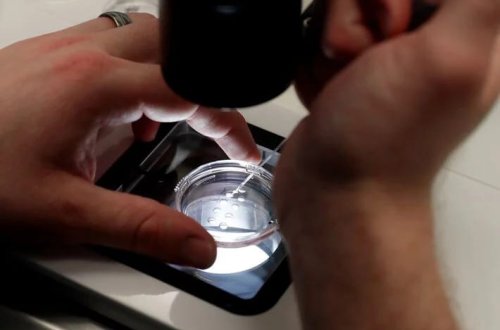 Embrionlar qarışdı, başqa qadının körpəsini dünyaya gətirdi