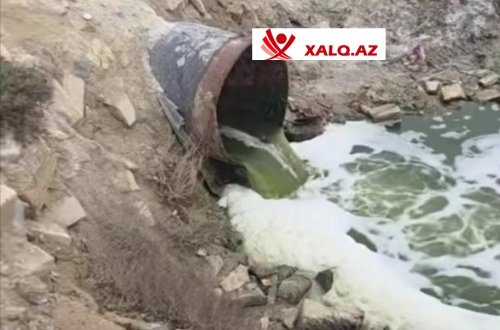 Masazır duz gölündə antisanitariya - Kanalizasiya birbaşa gölə axıdılır-Video