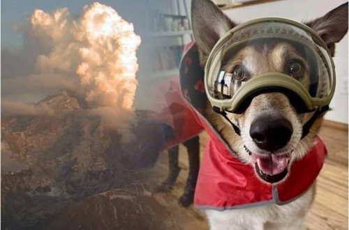 Vulkan püskürməyə hazırdır: 300 min insan fəlakətə hazırlaşır 