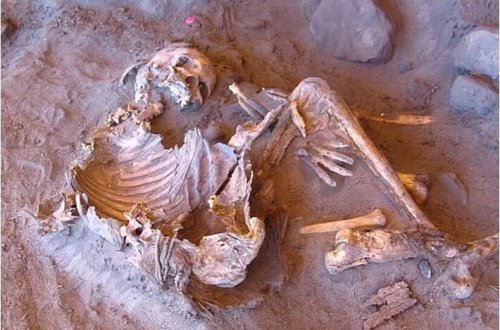 Yeni mumiya kəşfi aşkar edir: Bəşəriyyətin nəsil ağacı dəyişir