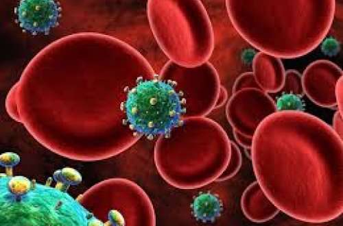 Alimlər süd vəzi xərçənginin müalicəsini tapdı