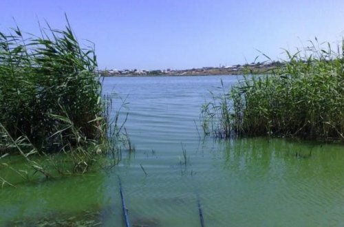 Xaçmazda yeniyetmə bataqlığa düşüb