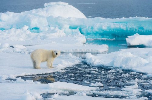 Şimal Buzlu okeanında buzlarının sahəsi rekord həddə azalıb