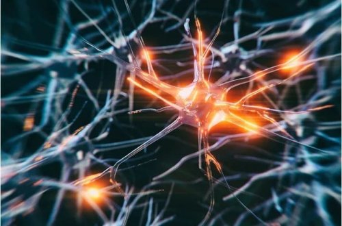 Alzheimer diaqnozunda yeni dövr: Erkən diaqnoz qan testi ilə mümkündür