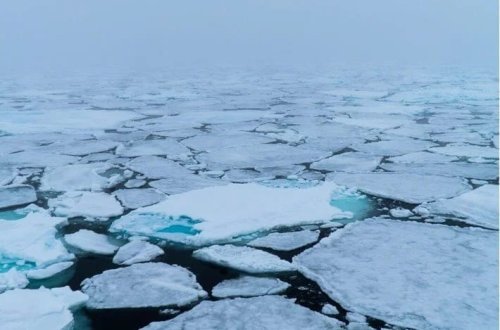 Arktika buz örtüyü həyəcan yaradır: 40 ilin ən aşağı səviyyəsində 