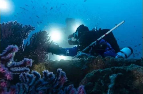 Möcüzə kəşf: Alimlər su altında bioloji xəzinə sandığı tapdılar