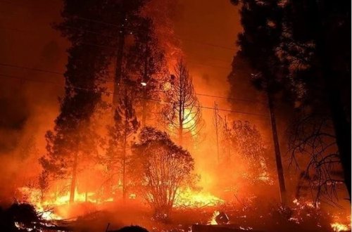 ABŞ-da meşə yanğınları: 3000 insan təxliyə edilib