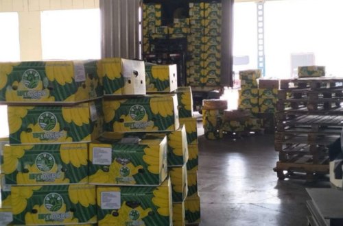 Azərbaycana gətirilən ərik dənəsi və banan məhsulunda uyğunsuzluq aşkarlanıb