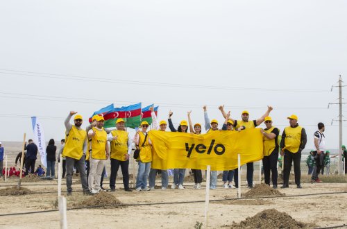 Yelo Bank внёс свой вклад в озеленение нашей страны