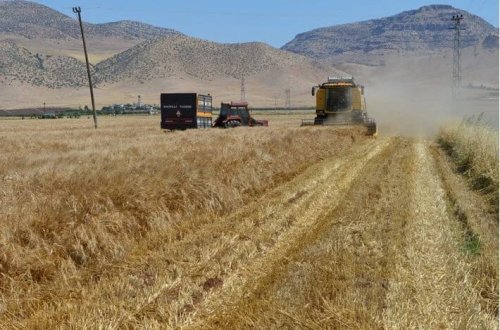 İraq Suriyaya 250 min ton buğda yardımı göndərdi