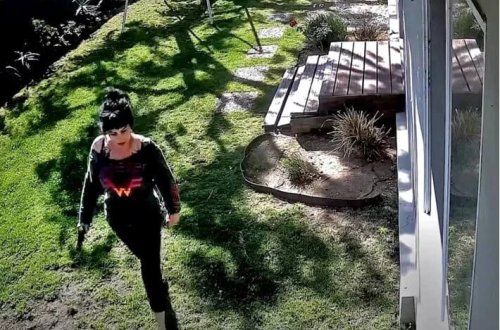 Polis məşhur sənətçinin həyat yoldaşını güllələyib: Görüntülər üzə çıxıb