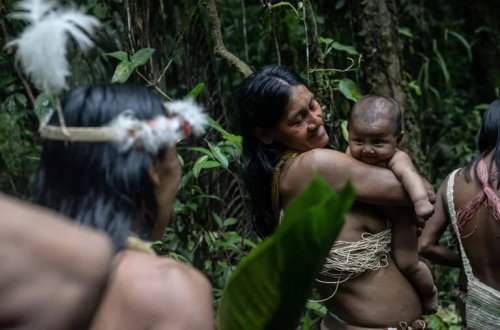 Ekvadorda son əlaqə quran qəbilə: Müqəddəs ağacların kölgəsi altında müasirliyə müqavimət göstərmək