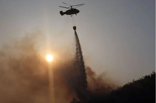 Cənubi Koreyada meşə yanğını: Alovlar böyüyür, evakuasiya qərarı verildi