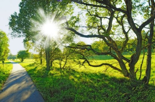 Sabah Bakıda 22, bölgələrdə 23 dərəcə isti olacaq