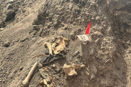 Xocalıda daha bir kütləvi məzarlıq aşkarlandı - FOTOlar