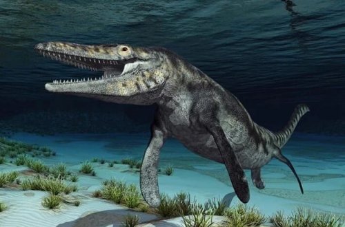 Nəhəng dəniz canavarının qalıqları tapıldı