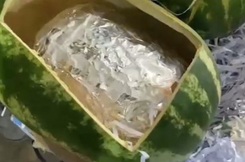 Qarpızın içərisində gizlədilən 63 kiloqramdan artıq narkotik aşkar edilib