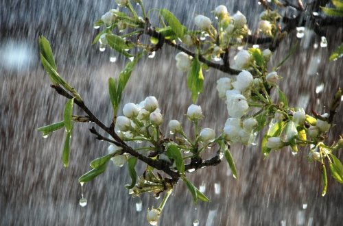 Əksər rayonlarda yağıntılı və küləkli hava davam edir - FAKTİKİ HAVA