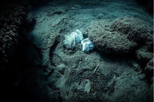 Mariana çökəkliyində belə mikroplastiklərin izləri var