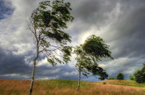 Küləkli hava şəraiti ilə bağlı sarı xəbərdarlıq verilib