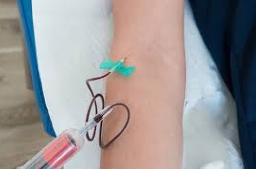 Çindən gətirilən qanalma kəpənəklərinin satışı qadağan edildi