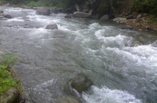 Çaylarda müşahidə olunan faktiki vəziyyət açıqlanıb