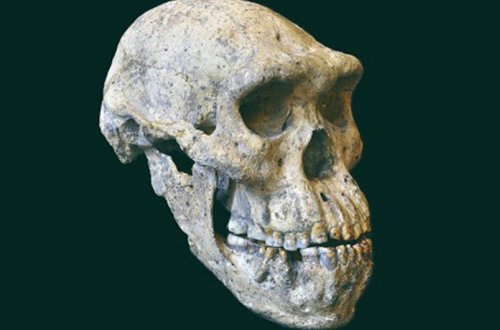 Arxeoloqlar Yava sahillərində insan əcdadlarının “itmiş dünyasını” aşkarlayıblar