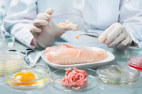 Azərbaycanda tibb, təhsil və sosial müdafiə müəssisələrində yeni qida normaları təsdiq ediləcək