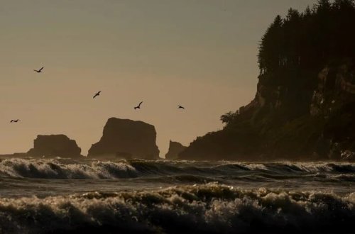 Alimlər dənizdən gələn fəlakət barədə xəbərdarlıq edirlər