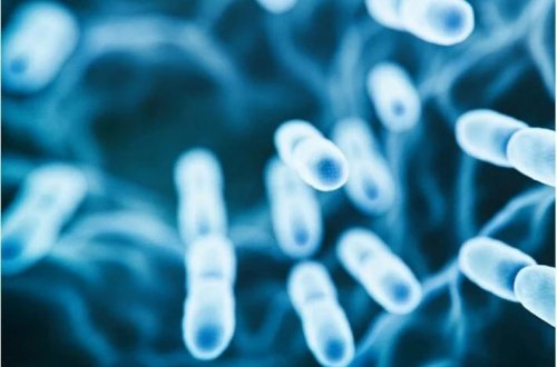 Son üç ayda Nigeriyada 4000-dən çox meningit hadisəsi qeydə alınıb