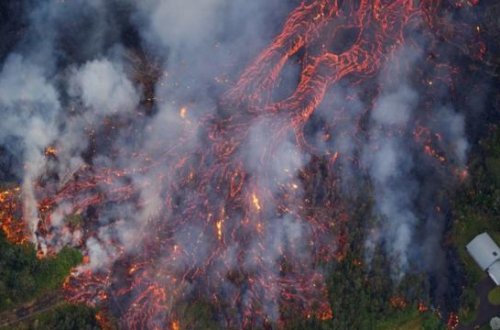 Vulkanlar püskürməzdən əvvəl ağaclar siqnal verir
