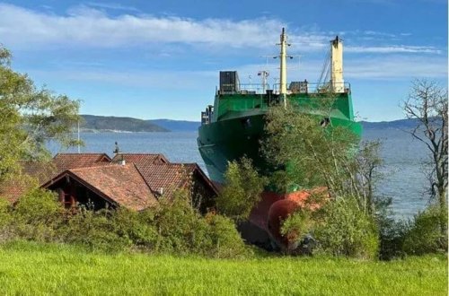 Gəmi sahilə çıxdı, sahibi eşitmədi: Bağdakı qonaq sürprizə səbəb oldu