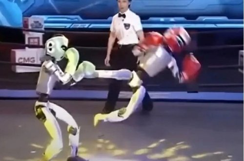 Dünyada ilk: Çində insanabənzər robotlar boks etdi