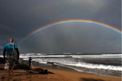 Okeanlar qaralır: Dəniz həyatı təhlükə altındadır 
