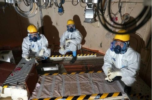 Fukusimanın torpağına güllər əkiləcək