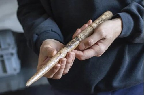 20 min illik balina alətləri tapıldı: İspaniya sahillərində tarixi kəşf 