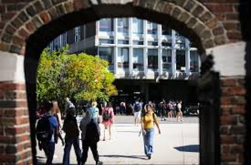 Məhkəmə Donald Trampın Harvard Universiteti ilə bağlı qadağasını BLOKLADI