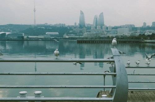 Dənizkənarı Milli Park ərazisində sudan meyit çıxarılıb