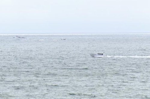 ABŞ-da 6 nəfərin olduğu təyyarə qəzaya uğrayıb