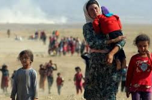 Dünyada hər 67 nəfərdən biri məcburi köçkündür - BMT-dən yeni hesabat