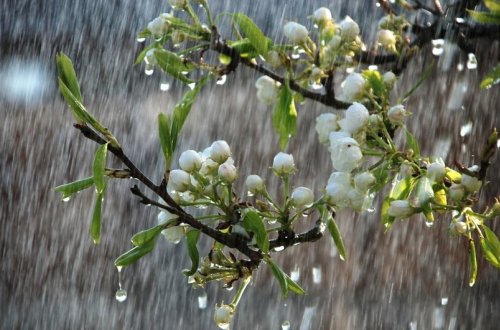 Ölkə ərazisində yağıntılı və küləkli hava şəraiti müşahidə olunub